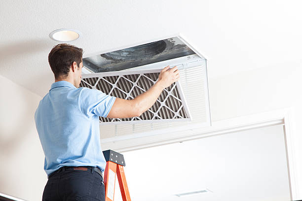 Best Solar-powered HVAC Systems in Weidman, MI